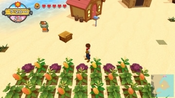 צילום מסך 2 מתוך המשחק: Harvest Moon: One World