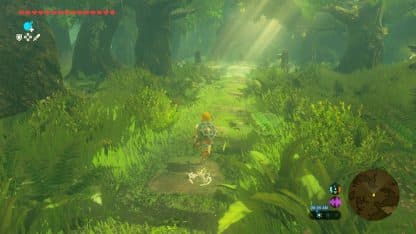 The Legend of Zelda: Breath of the Wild – Nintendo Switch 2 Edition